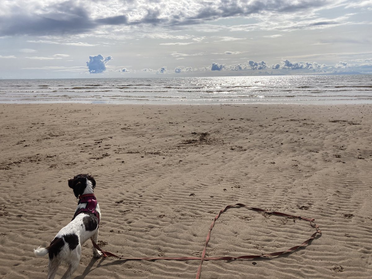 KarenLBarley's tweet photo. Bank Holiday weekend getaway at the seaside. Happy place.☀️🌊🐶🥰 #seascale #camping #rockpools #cumbriacoast https://t.co/6BO0yO5nwv