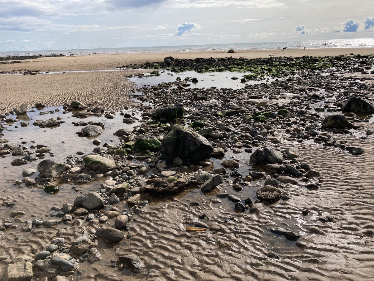 KarenLBarley's tweet photo. Bank Holiday weekend getaway at the seaside. Happy place.☀️🌊🐶🥰 #seascale #camping #rockpools #cumbriacoast https://t.co/6BO0yO5nwv