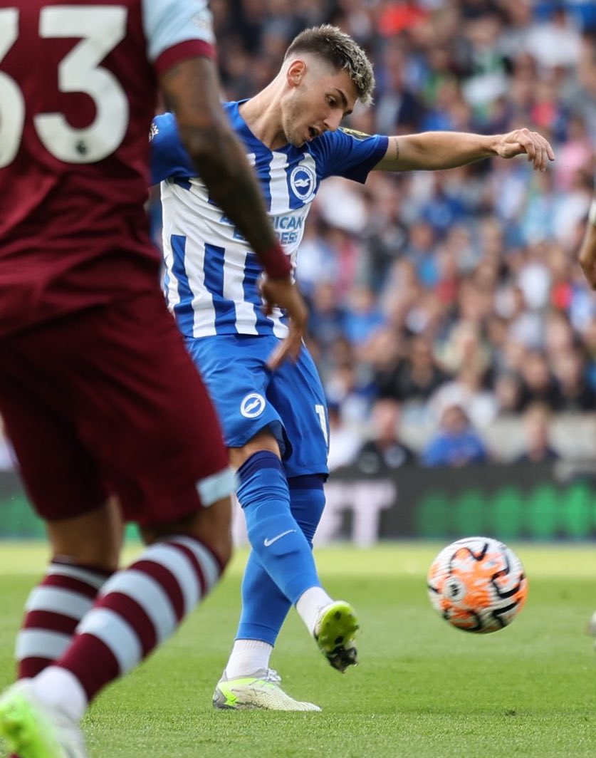 Brighton Bubble tweet media