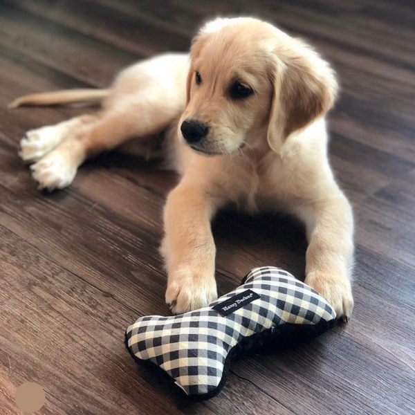 ShopSerafina's tweet photo. Happy International Dog Day! Treat your pup to a toy from @harrybarker_co ! https://t.co/gdHhqZ0pmW