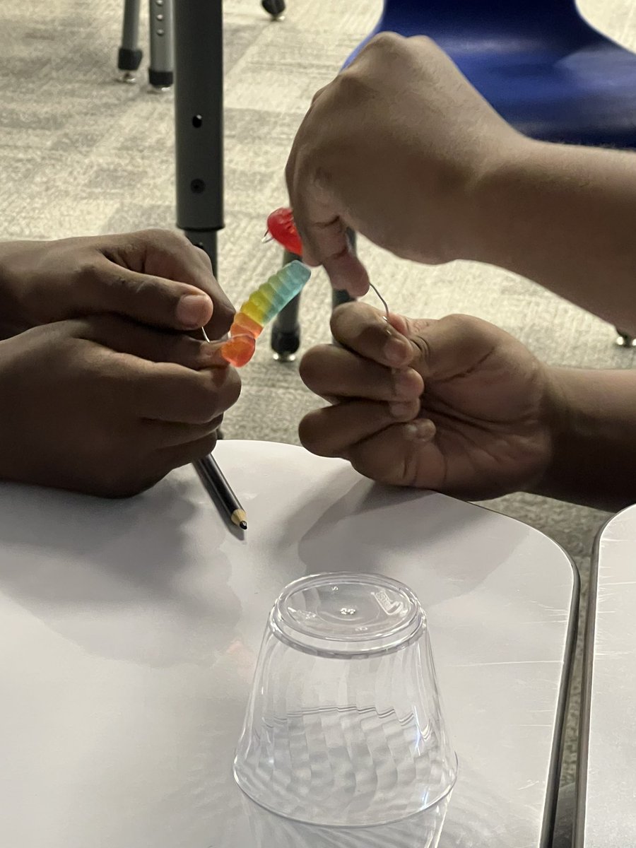JarushaG's tweet photo. MS PLTW class @CASjackets worked on a few STEM challenges during the first week. #SAVEFred #SpaghettiTower https://t.co/F8d2yRrMtt