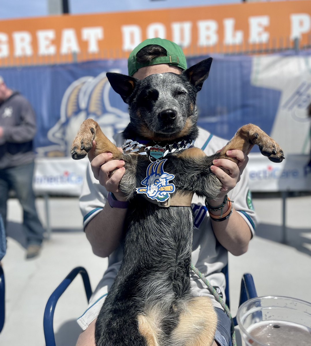 Hartford Yard Goats tweet media