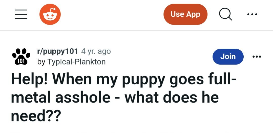 MarkLazerus's tweet photo. Why? What are you googling on International Dog Day? #puppiesman #owstopbitingeveryone #chompchompchomp https://t.co/ChRykmVAn3