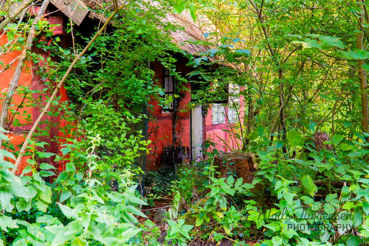 inctor 🇩🇰 tweet media