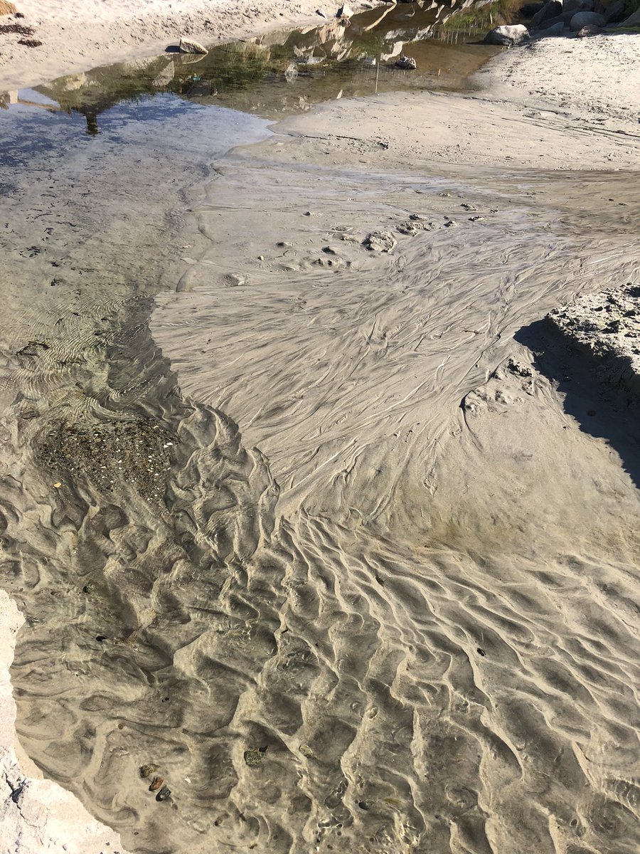 Amando Lasabuda tweet media