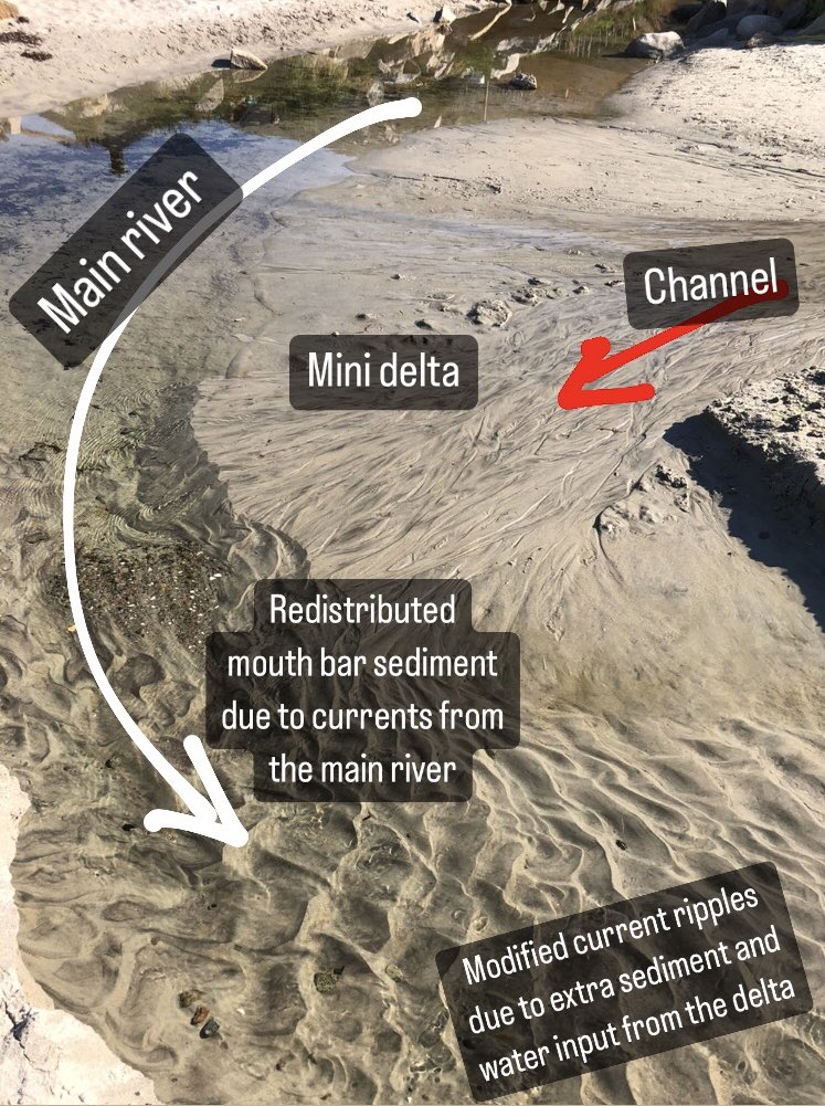 Amando Lasabuda tweet media
