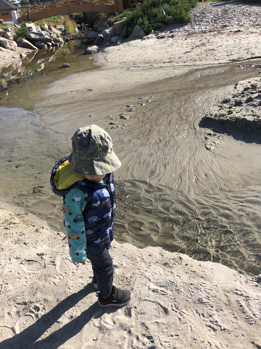 Amando Lasabuda tweet media