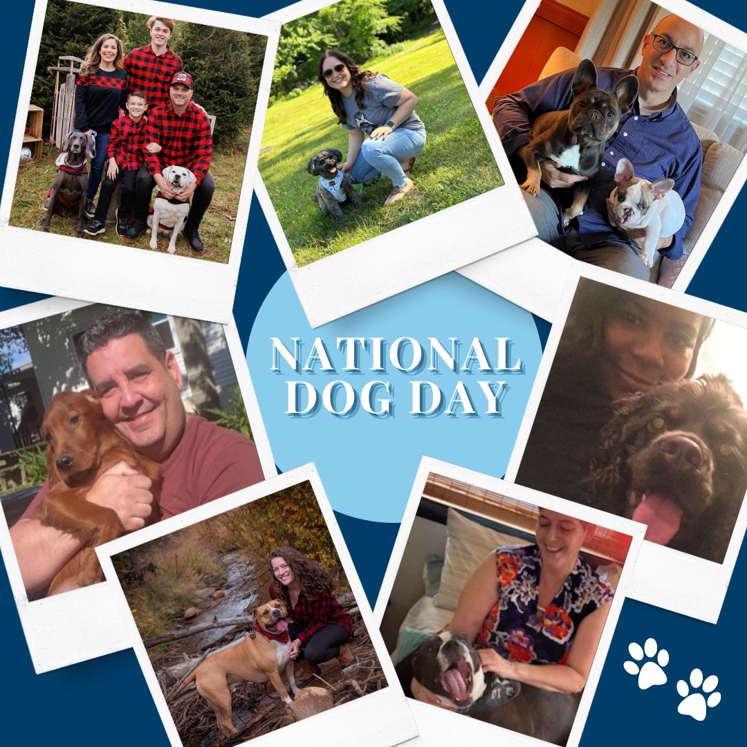 HAPPY NATIONAL DOG DAY 
Today we celebrate all our loyal, four-legged, furry canine friends. We appreciate all the love and joy they bring into our lives.