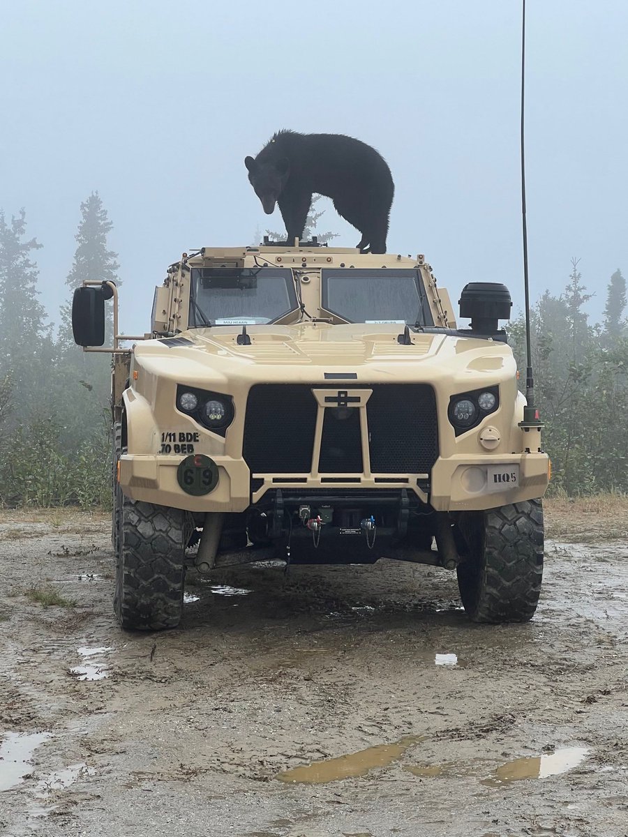We are still on top of the food chain in Alaska - but it is competitive!
@11thAirborneDiv 
#70thBEB
#OnlyInAlaska
#army
