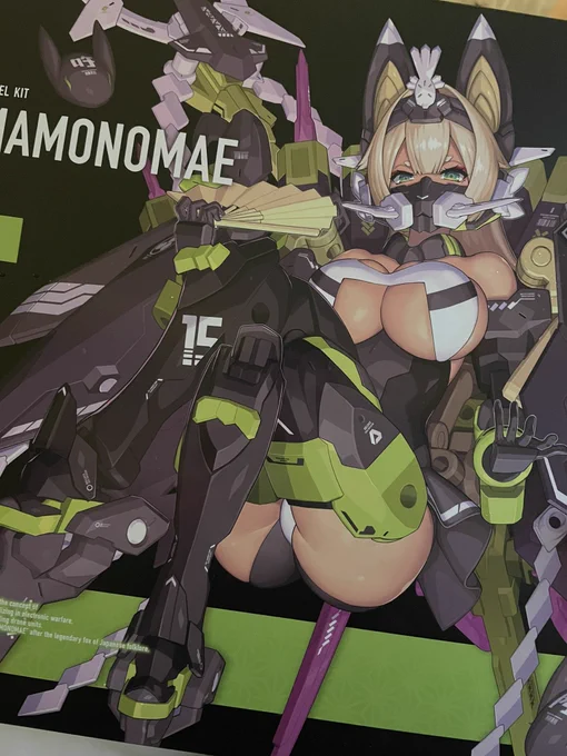 I got a MEGAMI DEVICE model kit of ASRA Tamamonomae 