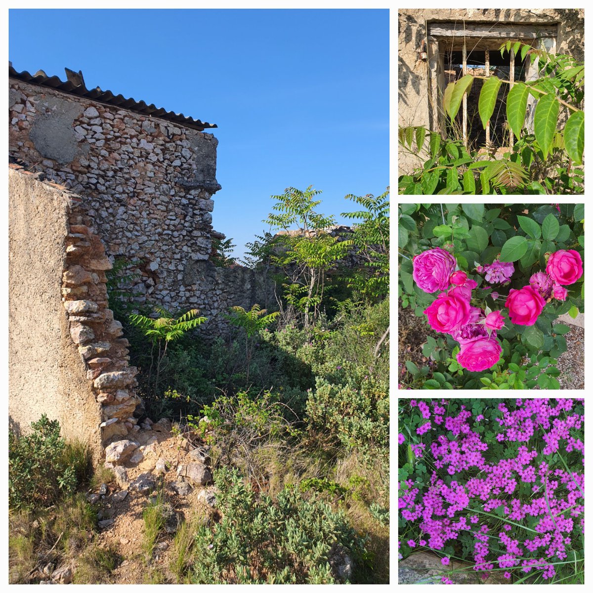 Joseph Falanga (@josephfala60080) on Twitter photo 