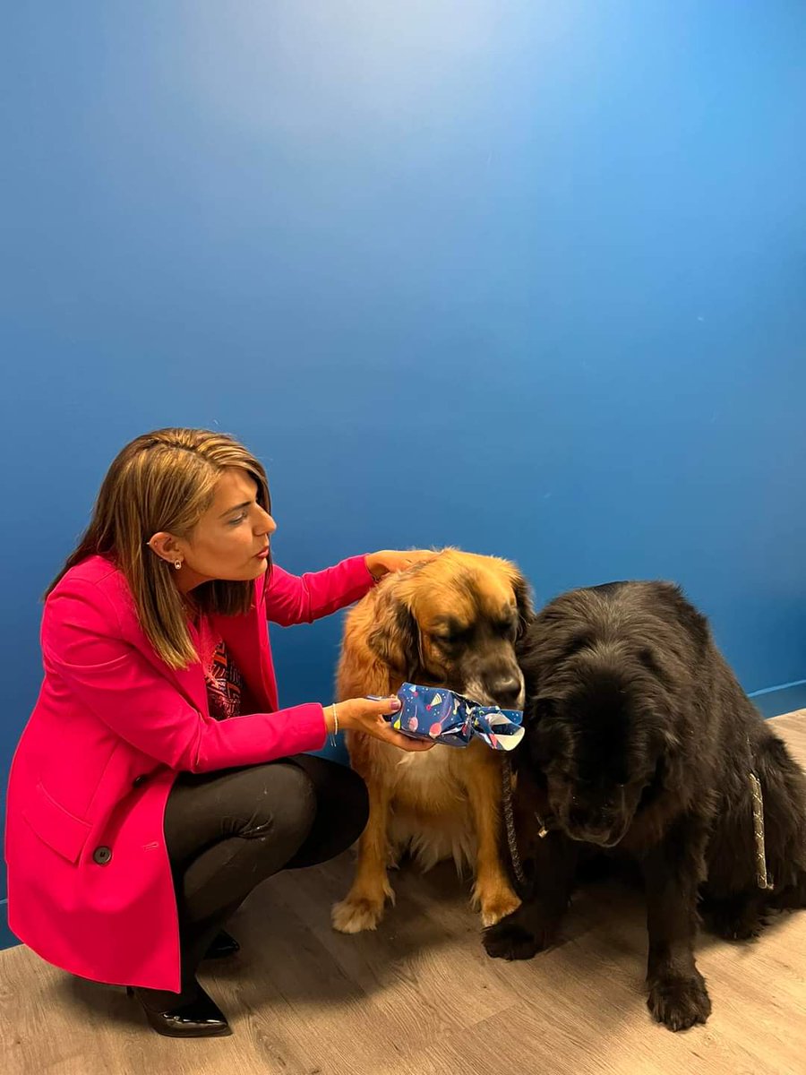 Loyal et fidèle, bonne journée mondiale des chiens sur @TV78_Yvelines,  chaîne amie des animaux.
#JourneeMondialeDuChien