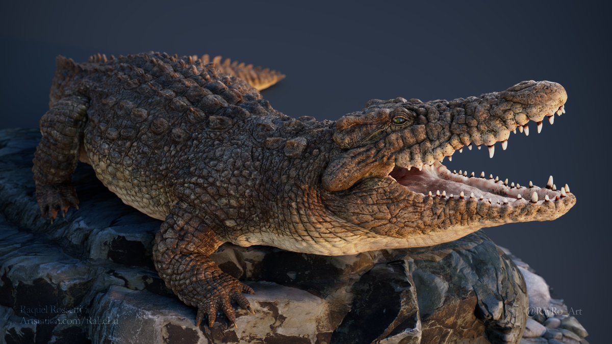 RayRo_Art's tweet photo. Finally finished my Crocodile 😄via @artstationhq https://t.co/m1USvB8fJx https://t.co/MAHF0fHB5g