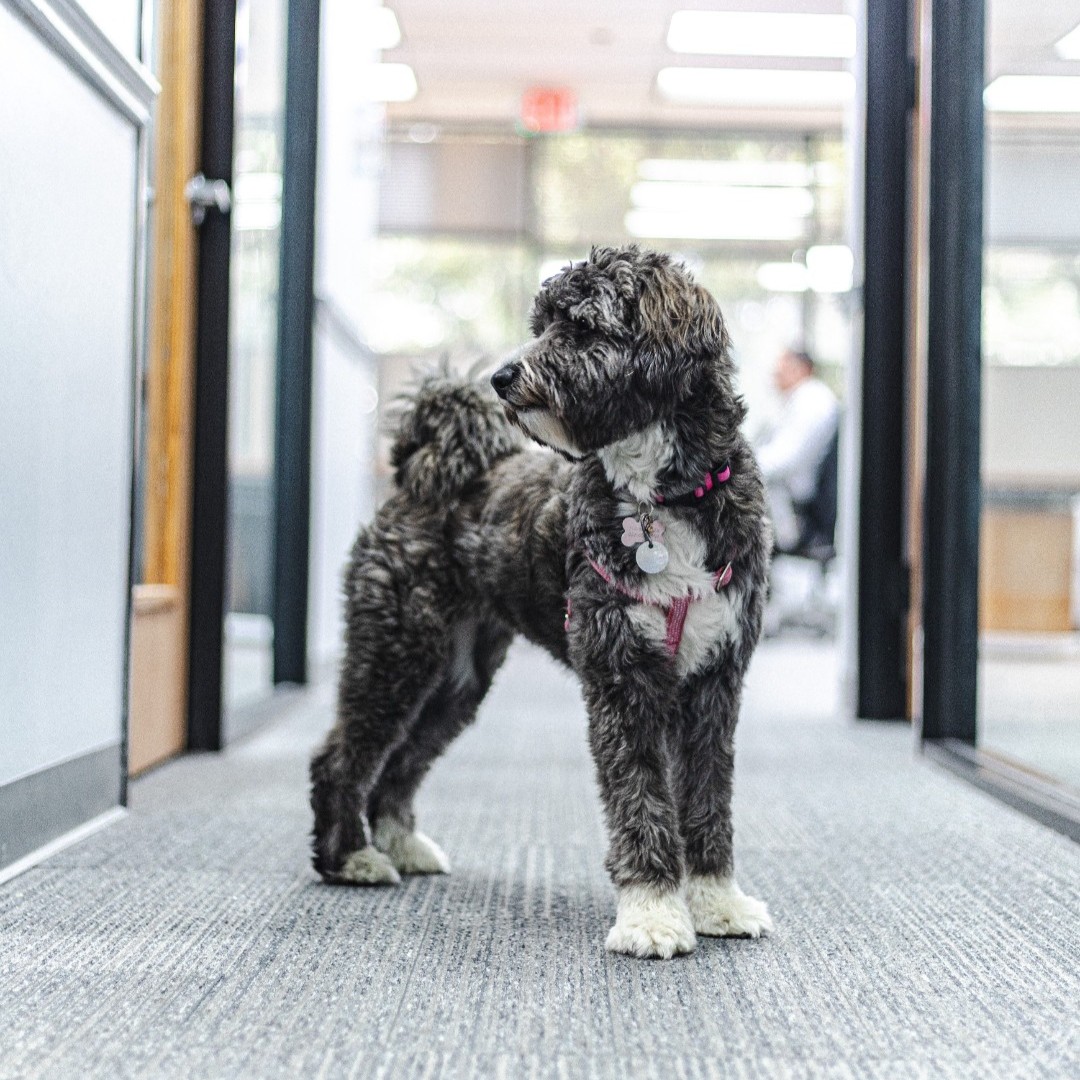 Vertex Energy, Inc. tweet media