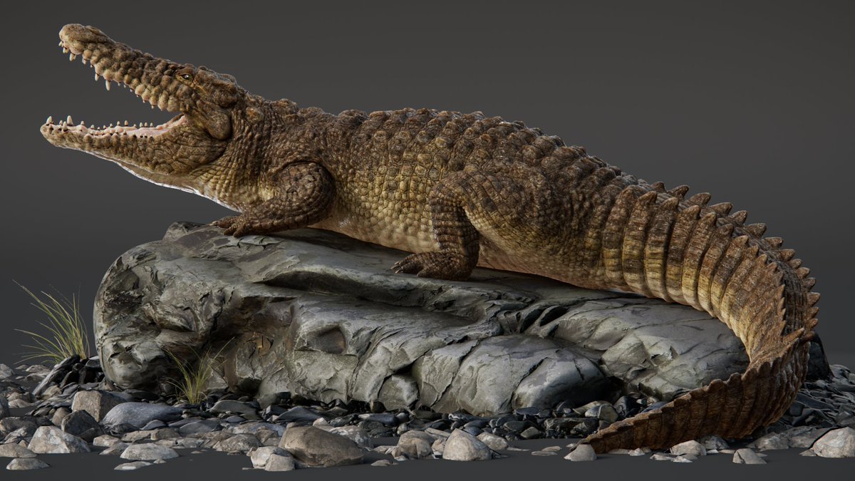 RayRo_Art's tweet photo. Finally finished my Crocodile 😄via @artstationhq https://t.co/m1USvB8fJx https://t.co/MAHF0fHB5g