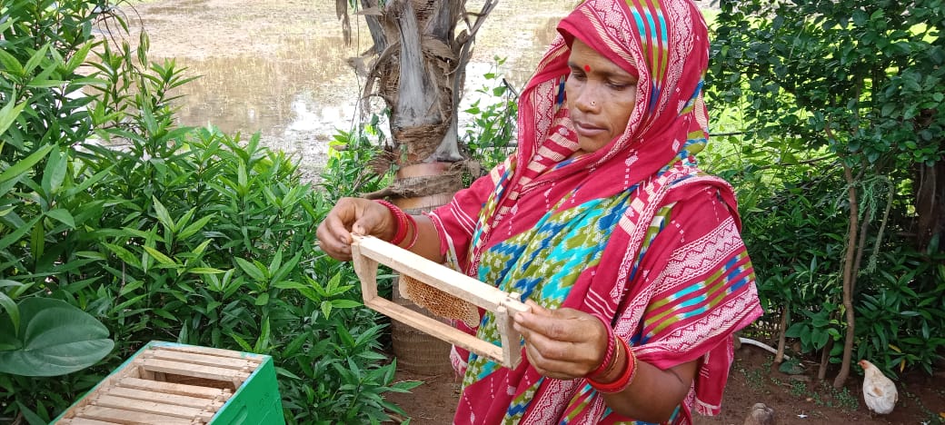 jrp_india's tweet photo. We are committed to empowering #marginalized #tribal communities in #Daspalla & #Chandaka regions by boosting about 1000 household livelihoods through #beekeeping & #honeyprocessing business support. Transforming them into thriving. #microentrepreneurs #TribalCommunityEmpowerment https://t.co/4NqRhQG8uz