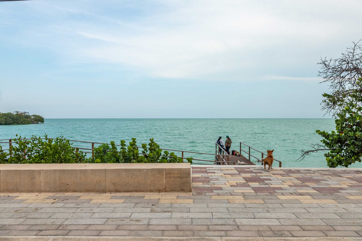 Arquine's tweet photo. NUEVO en Arquine | La renovación integral del Malecón de Calderitas ubicado a 9 kms del centro de la ciudad de Chetumal busca hilvanar diferentes actividades a través de andadores que permite el paso de peatones de una manera segura sobre el mar.| https://t.co/lgio9bwqy1 https://t.co/wS8vlku5MU