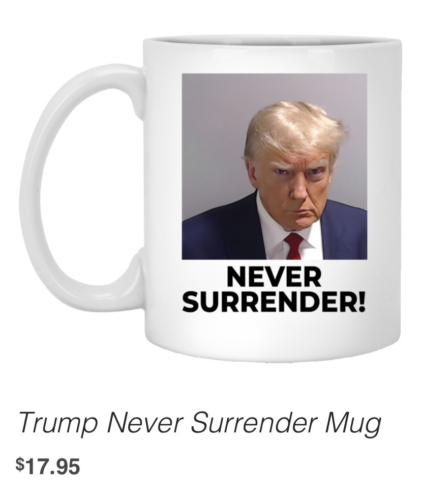 dancorr's tweet photo. The balls on this guy. When life gives you mugshots, sell mugs. But better, sell “Never Surrender” mugs literally THE DAY AFTER YOU SURRENDER. 

So — internet — you know what you have to do: Two Girls One Mug. Do NOT Google that, but it has to happen. https://t.co/IMOVkZxyD5