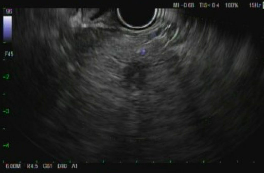 Erik Holzwanger, MD, ABOM-D tweet media