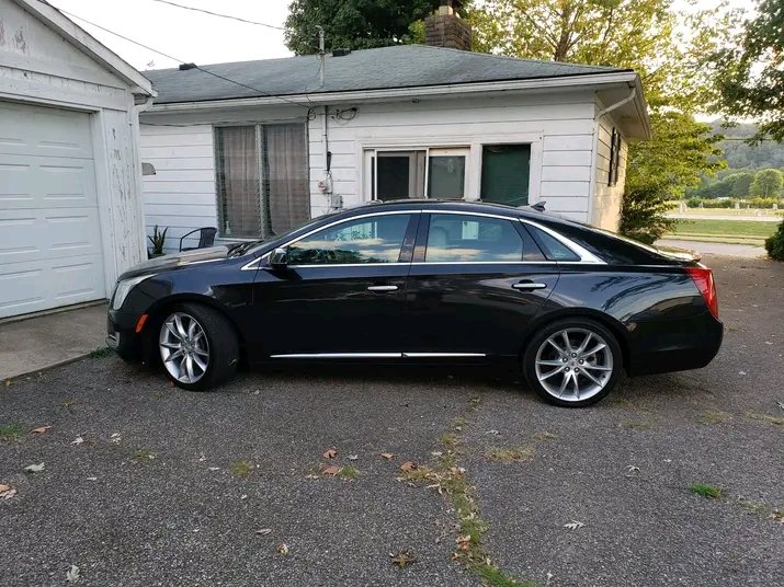 EvaCatherine14's tweet image. 