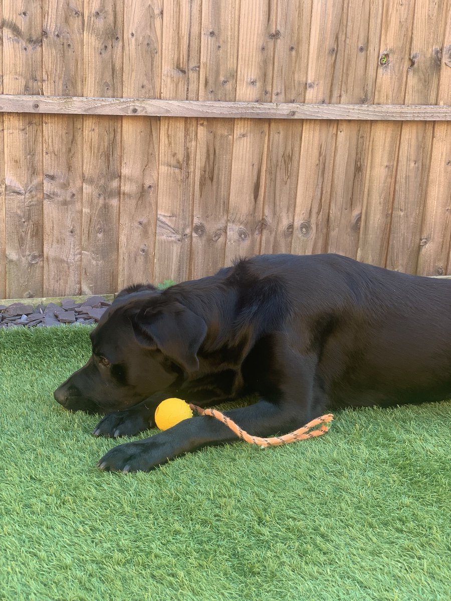 happy international ME day 😘 #InternationalDogDay