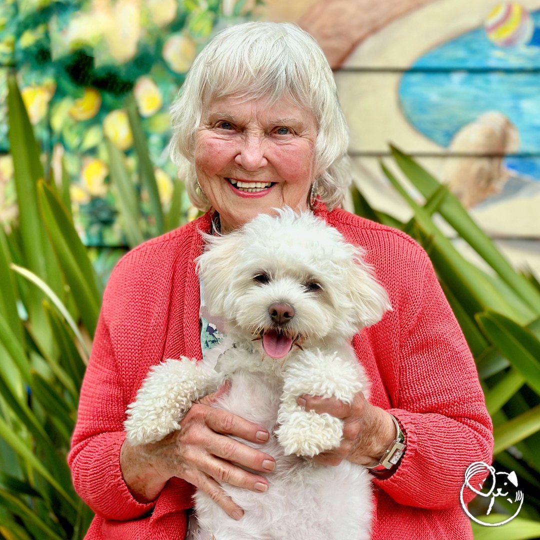 peace_rescue's tweet photo. ❣️This week's #HelpingPaw goes to Sammy and Caryl. Caryl, has been experiencing some balance issues that have made it harder for her to take Sammy on longer walks. We've put together a walking brigade where some of our amazing volunteers help give Sammy the exercise he needs. https://t.co/VWQ8uaQjdF
