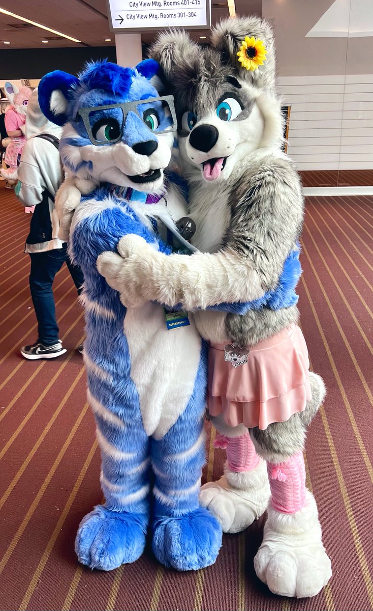 In honor of #NationalDogDay, here are some pretty cool canines I got to see at AC earlier this year 🐶💙