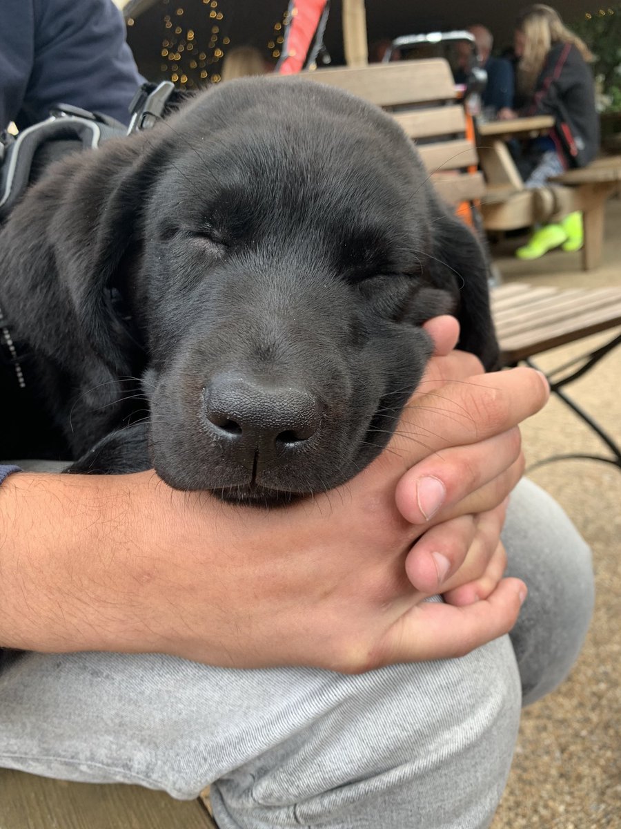 happy birthday to one of my human pillows <a href="/xjosh95/">Josh</a>