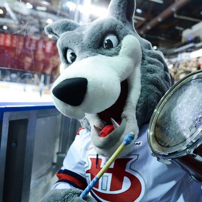 We’re less than an hour away from welcoming CANE to the Mighty Mighty Bert! Get down here and chill with the coolest mascot in the Dub! He’ll be here from 2-4 today as we roll on with Bauer Hypefest! <a href="/WHLHurricanes/">Lethbridge Hurricanes</a> #THEplacetobe #bauerhockey #hypefestishere #yqlocal