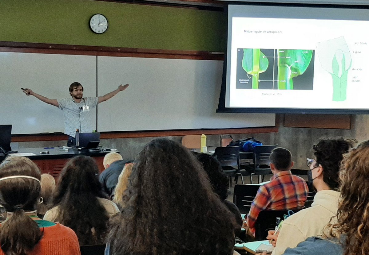 clawedfeet's tweet photo. Wesley Neher describing boundaries in plants at #WCSDB @SocDevBio https://t.co/ZgSjU0olre