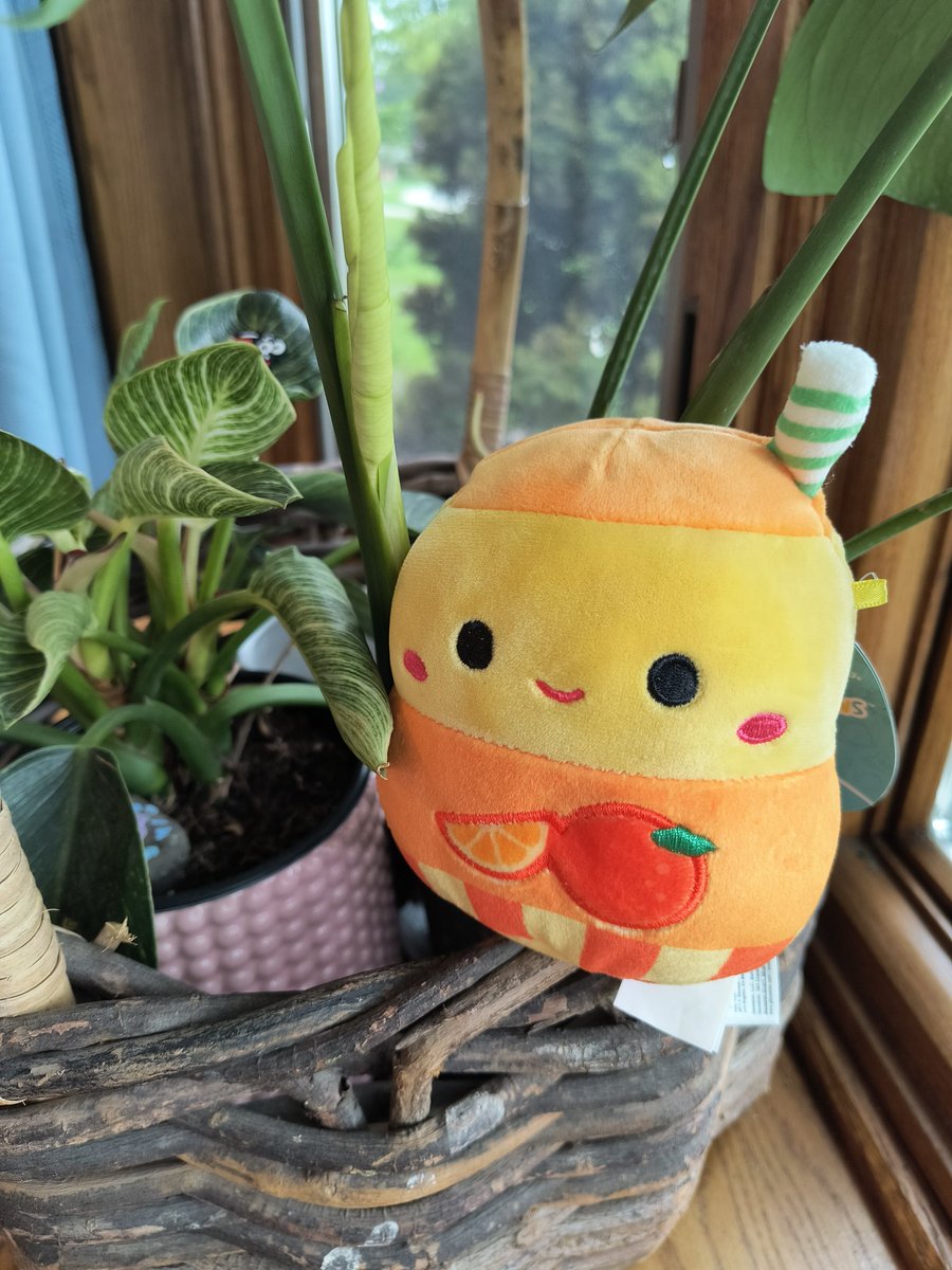 npiper05's tweet photo. @froggycrossing My daughter loves your channel and wanted me to show you her latest squish. https://t.co/ozlOYBSy3k