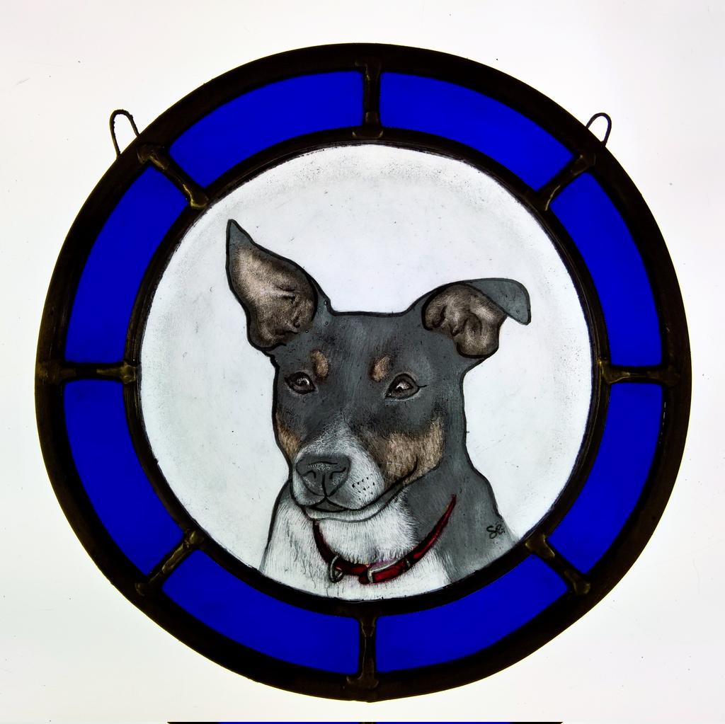 steveninglass tweet media