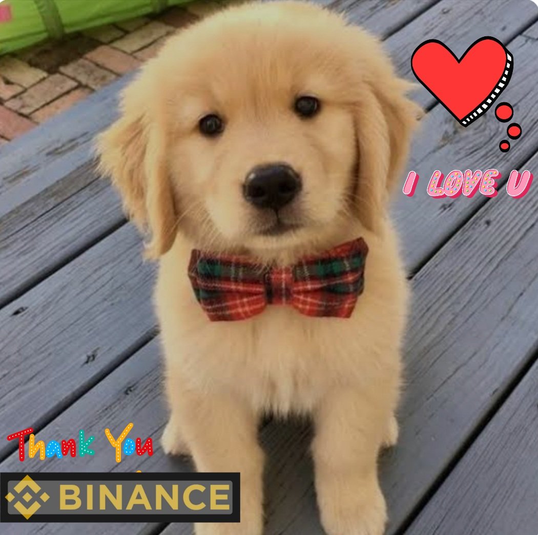 OfClark77339's tweet photo. My golden treasure 😍😘❤!! Hope this is good as I don't have any Binance accessory. Thanks!
#BinanceDog https://t.co/EXnXxnX2qB