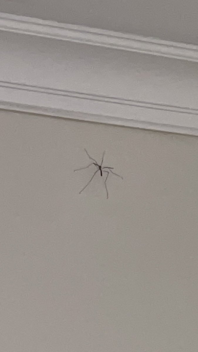 ??
