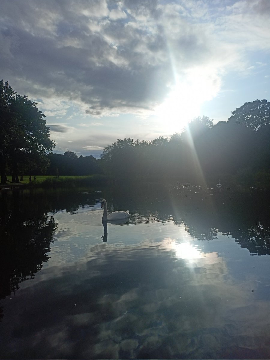 Gary__Bingham's tweet photo. Sun begins to set on another Saturday and a FIRST win of the #Championship season for #LUFC💛🤍💙Went to stretch my legs post match & listen to yesterday's #LUFCPod🏃🏻🎧🦢 spotted a Woodpigeon eggshell, as a dog had a nosy too!🐶🐕👋#Leeds #wellbeing #Nature #BirdsOfTwitter https://t.co/JGXqOeyK5m