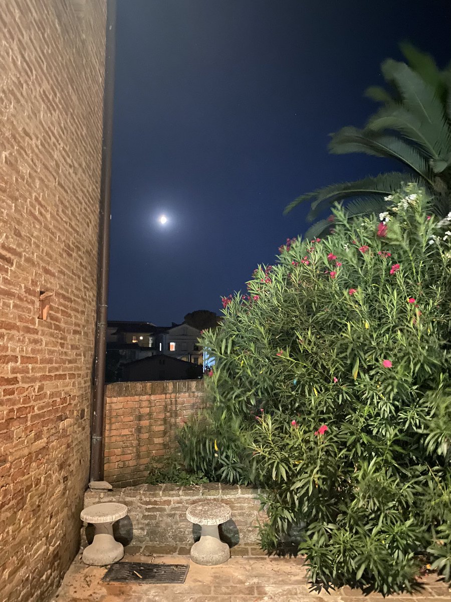 rosiver_'s tweet photo. Metti una serata al chiostro del monastero dove hai trascorso gran parte della tua infanzia… una serata di musica in un luogo del silenzio. 
Atmosfera magica!!! https://t.co/jz9f4LV1pO