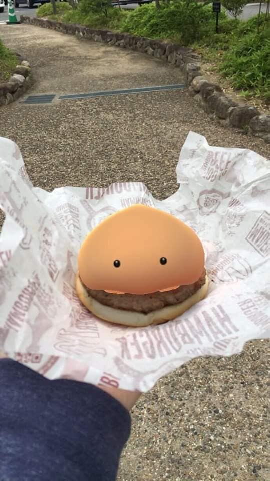 OoCPokemon's tweet photo. 🍔🐞 https://t.co/8W8VCBUp0D