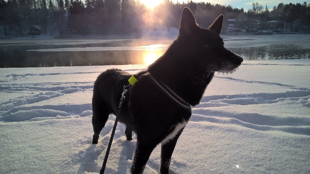 Jouni Mänty 🇺🇦🇮🇱 tweet media