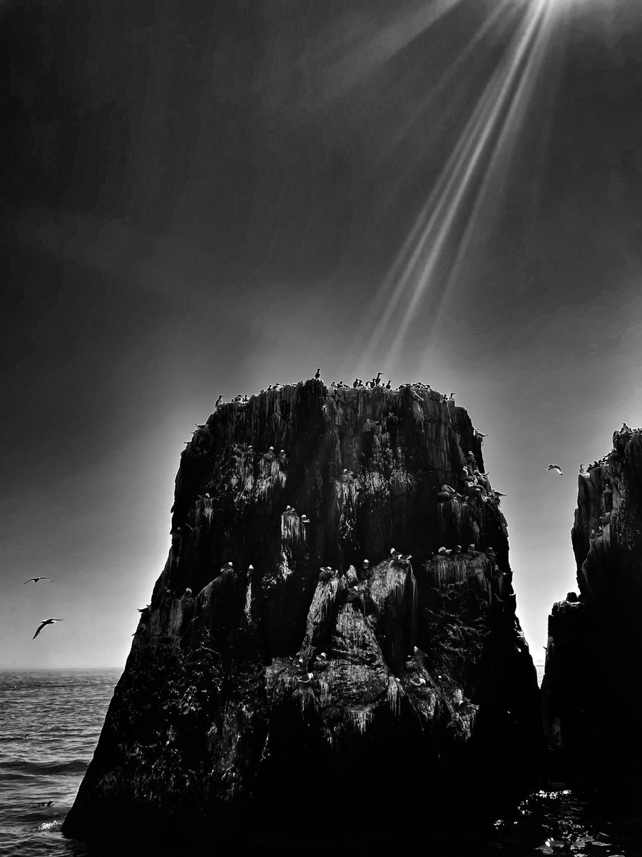 Tim Whitley tweet media