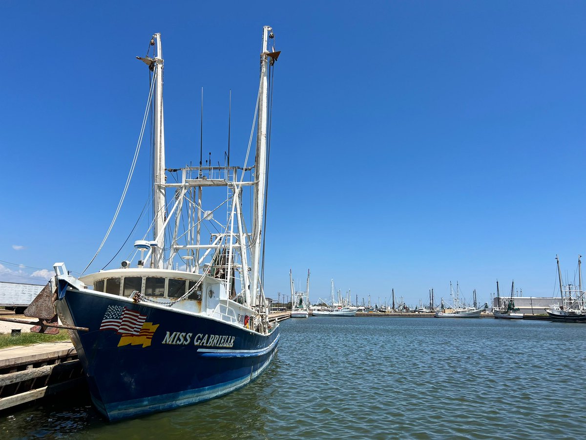 SergioChapa's tweet photo. Postcard: The coastal town Palacios, Texas is home to a small Vietnamese community that arrived as shrimpers in the 1970s. 

Opened in 2005, Tran's Restaurant is a local favorite serving popular Vietnamese dishes such as bun, pho and fried rice. 😋

#TXHighways #PalaciosTX https://t.co/D1C6XHVCgz