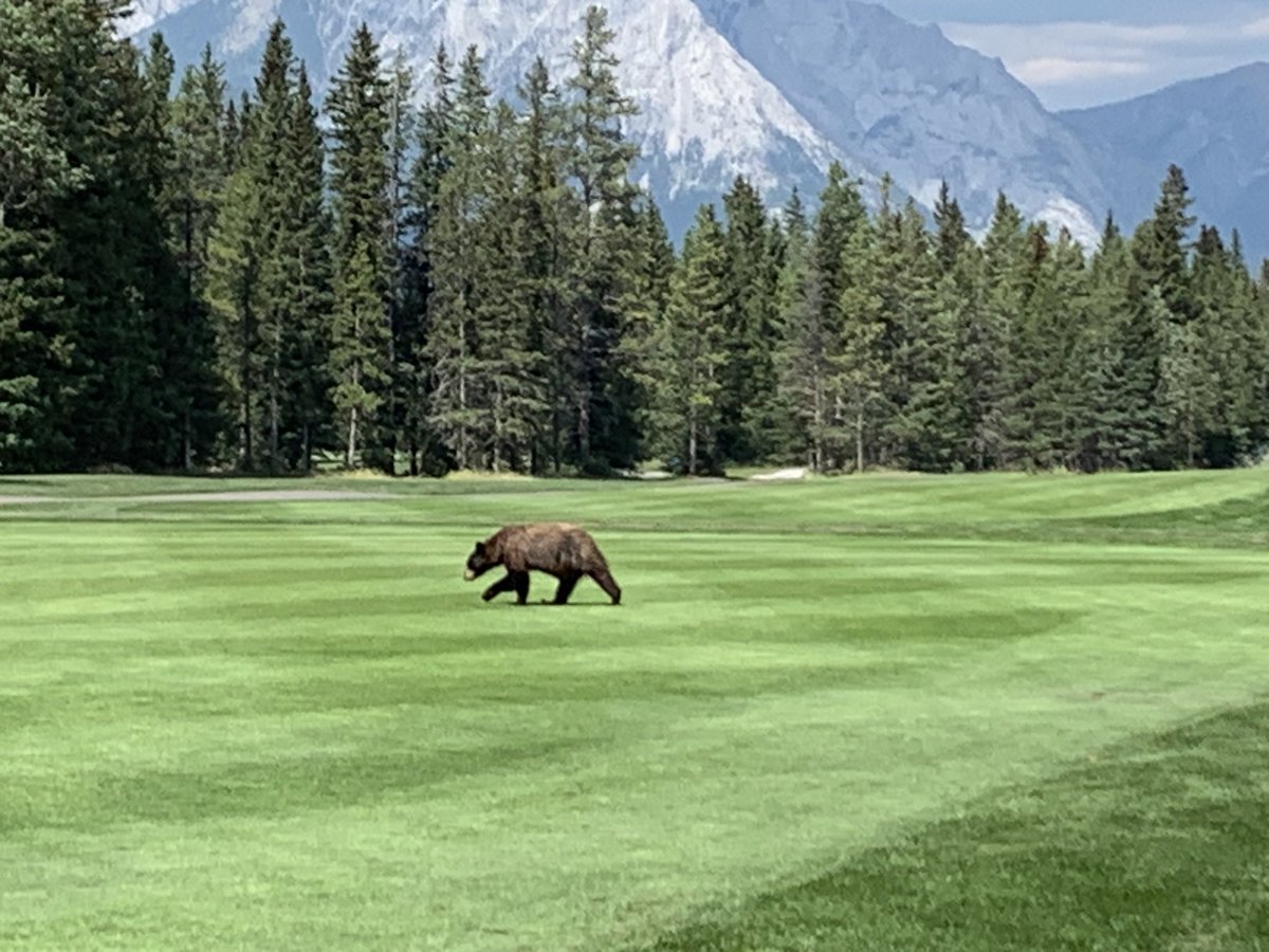 Geech1956's tweet photo. @golfcourses101 These are pretty good too https://t.co/pAlMxisL66