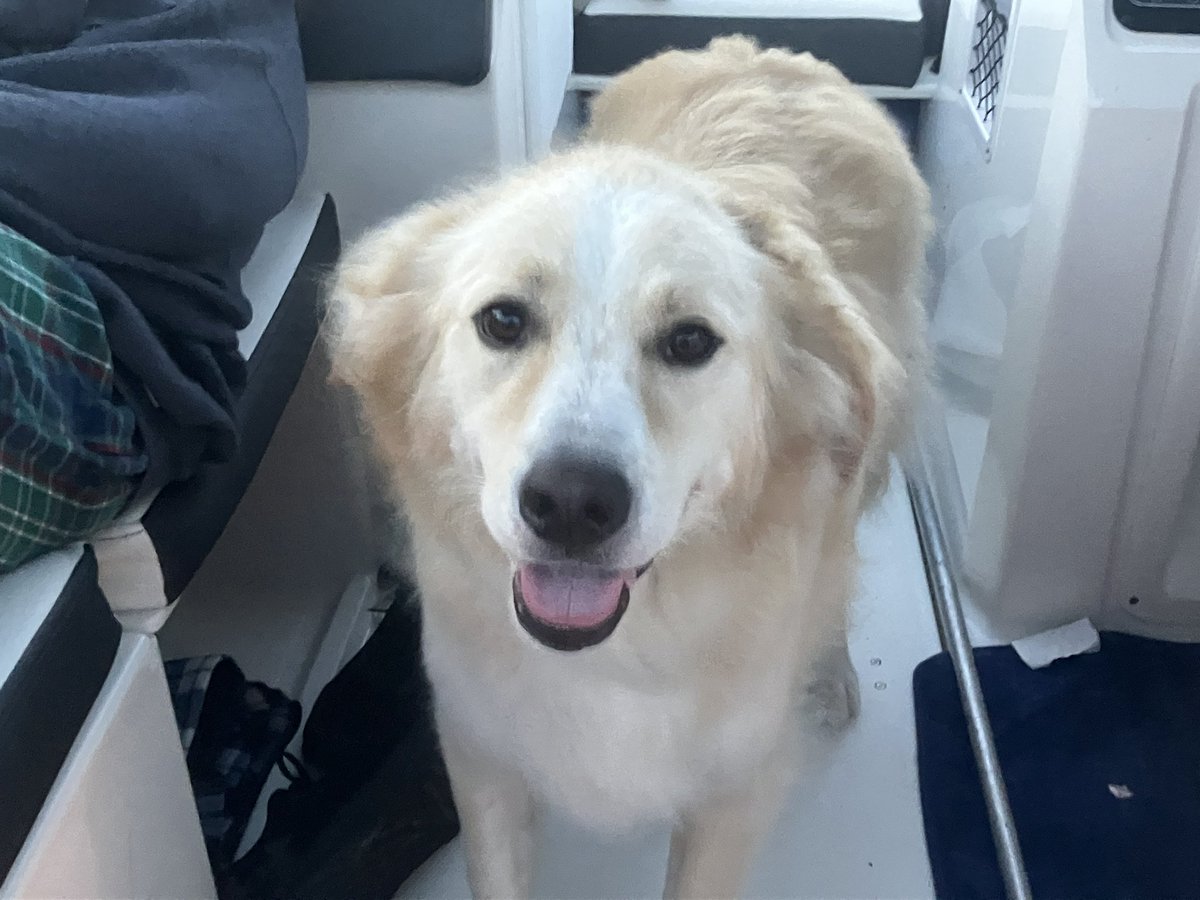 Mr. Halstead tweet media