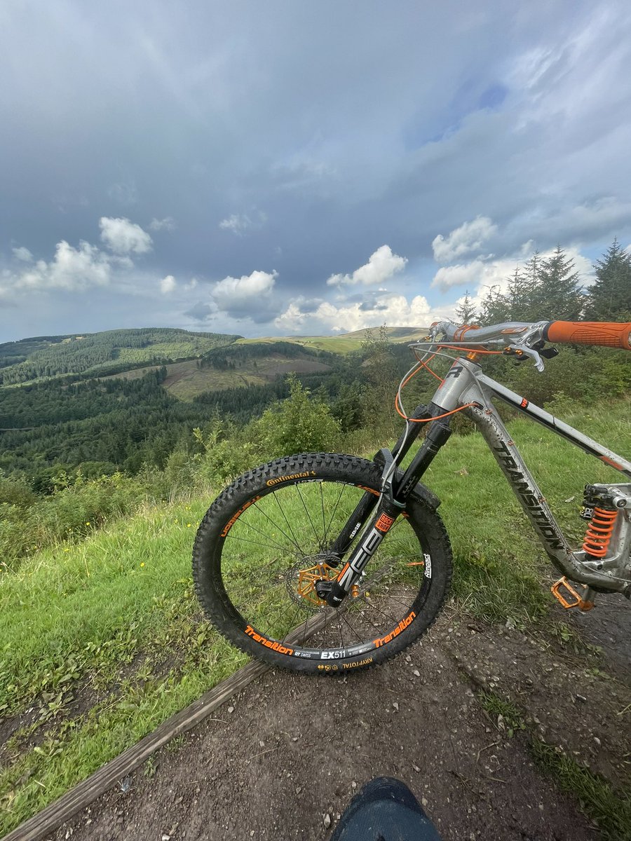 @siwright tweet media