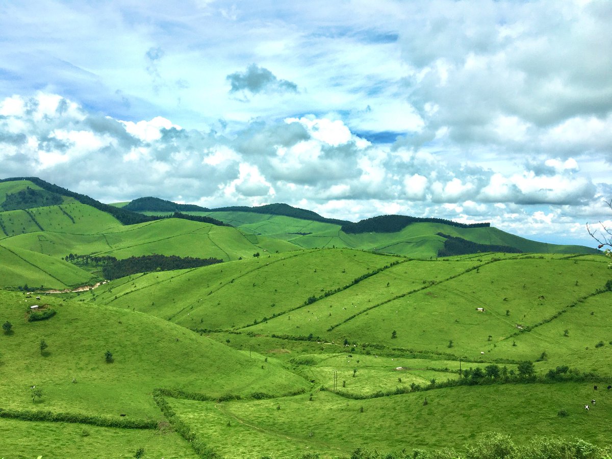 I know you might be busy, but I need you to help me to show the world how beautiful my home is . Please give me your retweet. 

📌 Bigogwe/ Rwanda 🇷🇼