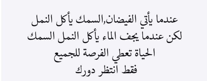 Avedis Guidanian (@guidanian) on Twitter photo 