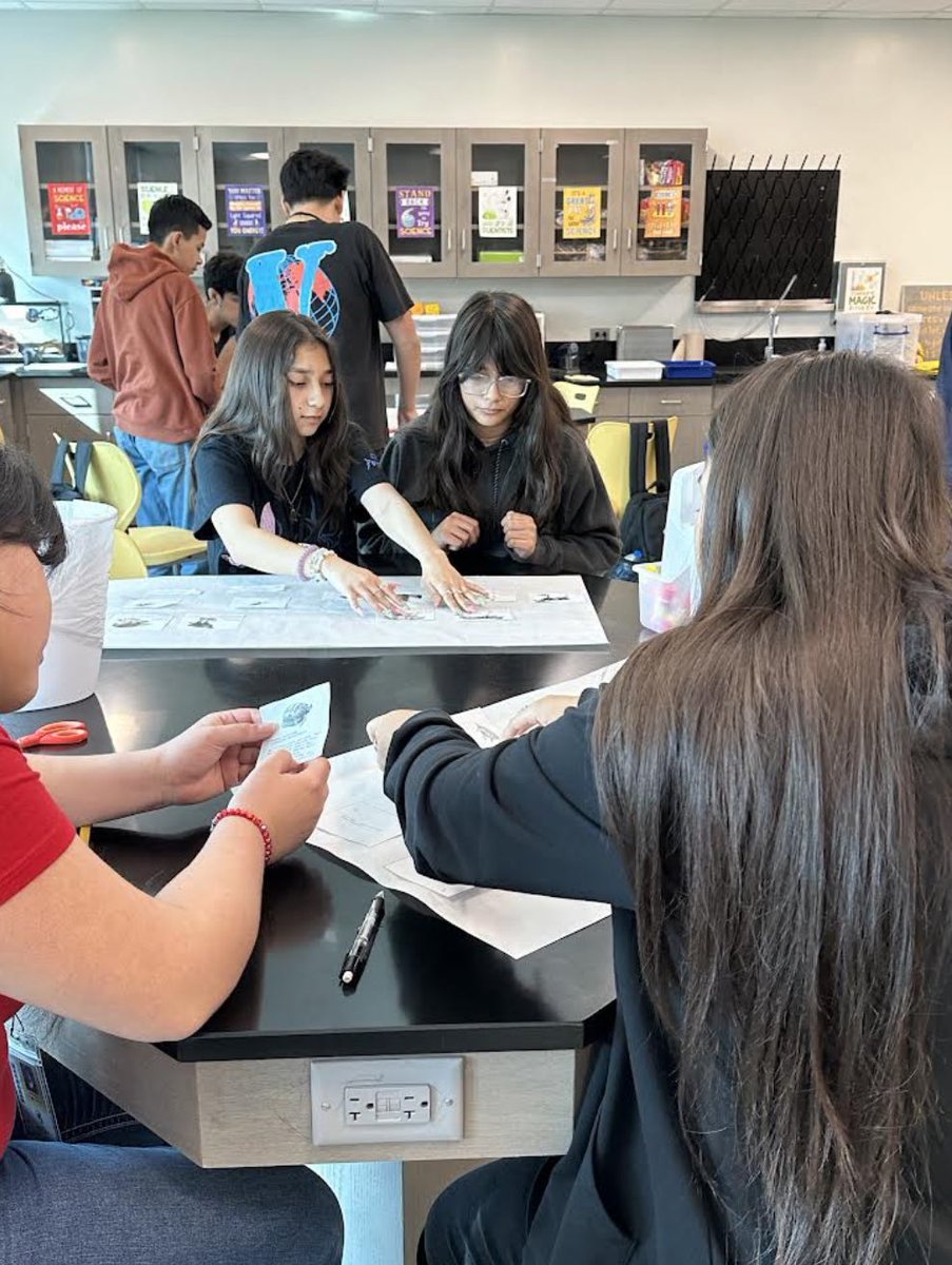 AvalosPTECH's tweet photo. Collaborative group work in freshman biology. Listening, exchanging ideas, & using academic language while designing their food webs. #FunWhileLearning #CommitToComplete
#ClassOf2027
@CLangenbuch https://t.co/JdhSQXnfed