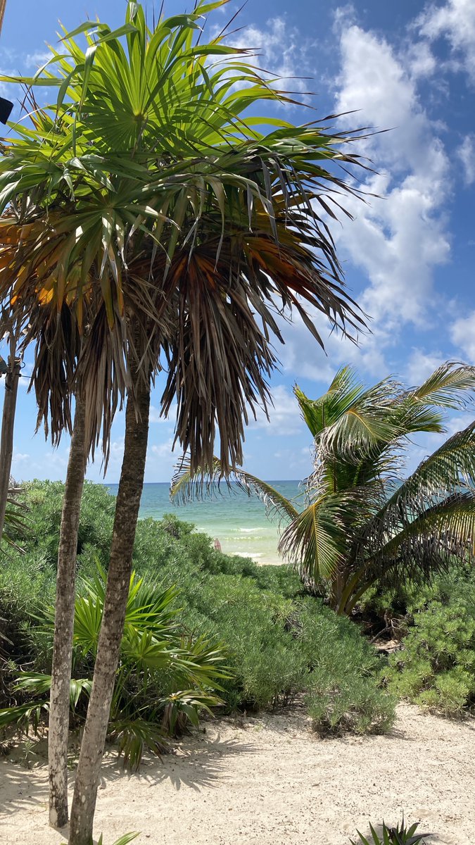 ReFiTulum's tweet photo. 1/ 🌎 🌱🌊
GM World, hola from Tulum!! 💫🌴💚here's a little thread to share our intentions for @ReFiTulum and Accelerating the #Regenaissance  https://t.co/M4PRIZ0P2d https://t.co/6huscWYZad