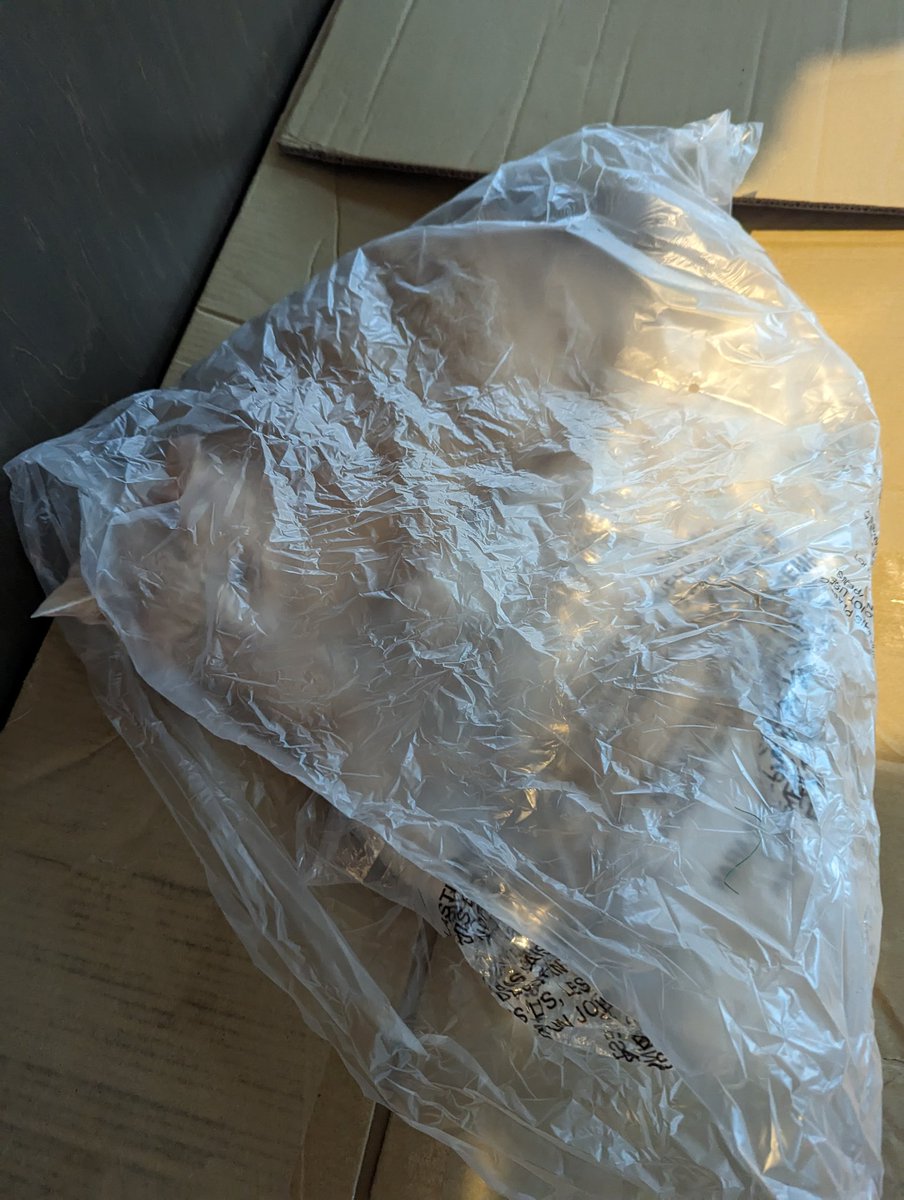 esperali's tweet image. "What kids are so dumb that you have to put a safety warning on a plastic bag?"
My kids: