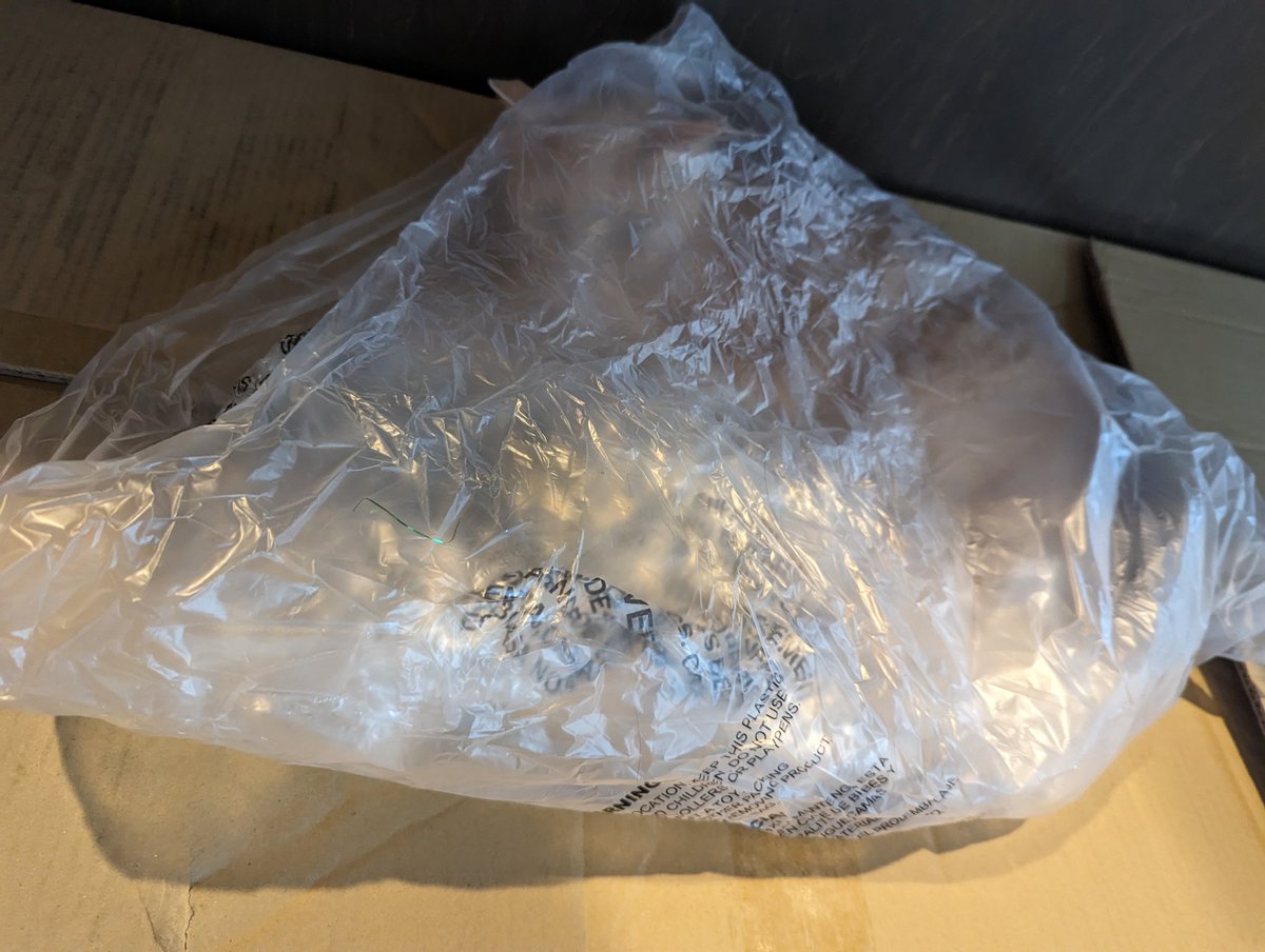 esperali's tweet image. "What kids are so dumb that you have to put a safety warning on a plastic bag?"
My kids: