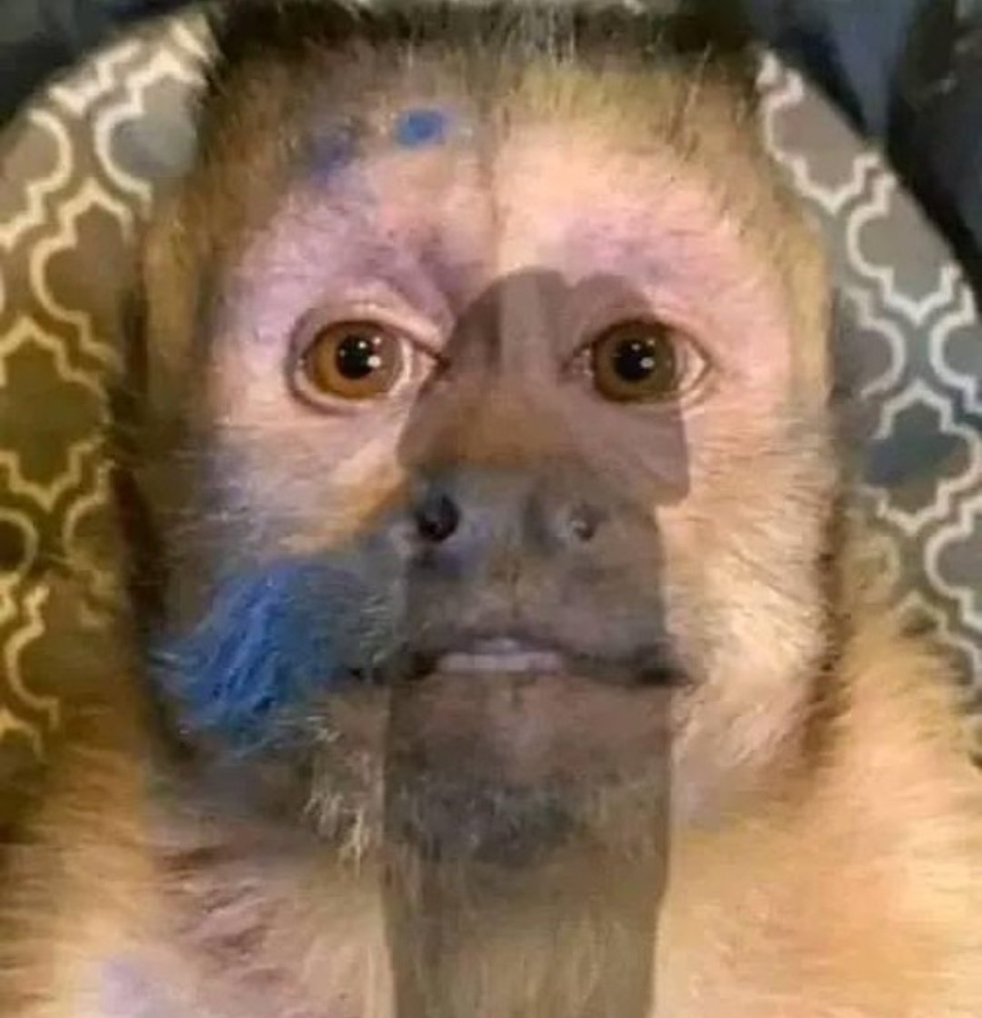 Chifu Krz tweet media
